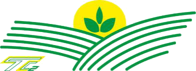 T2